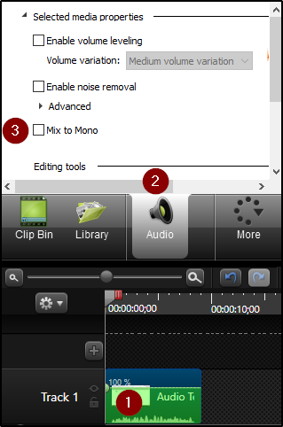 how to zoom in and out in camtasia 3